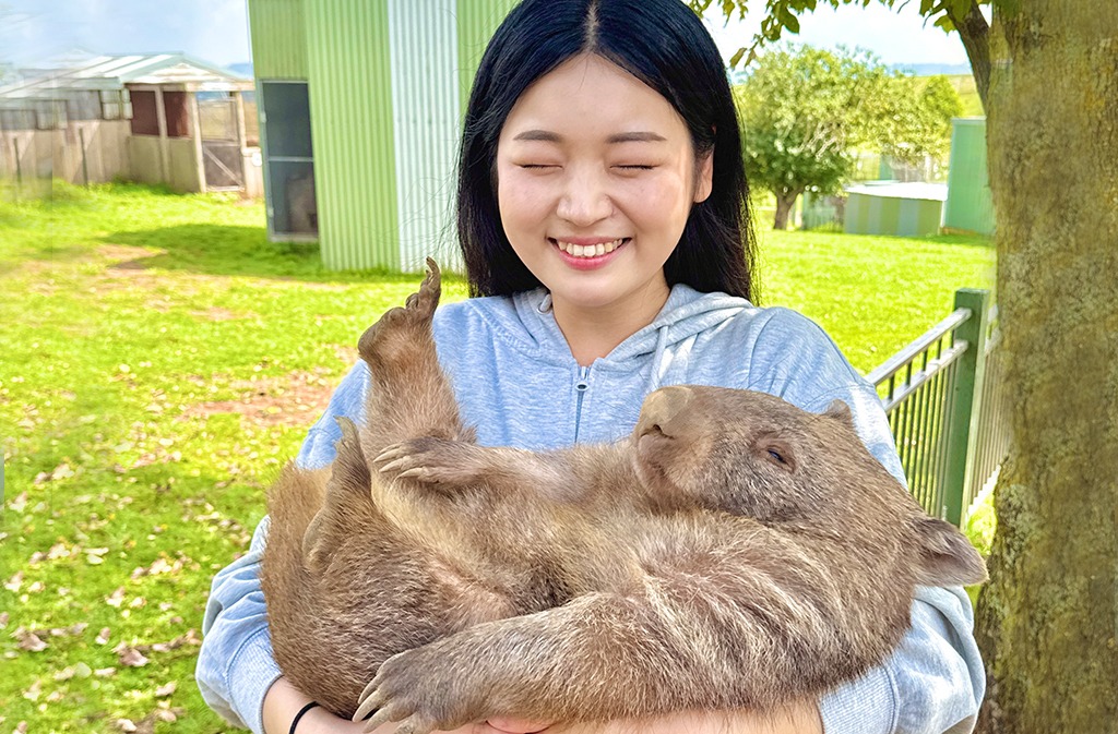 시드니 데이투어 서던하이랜드 75