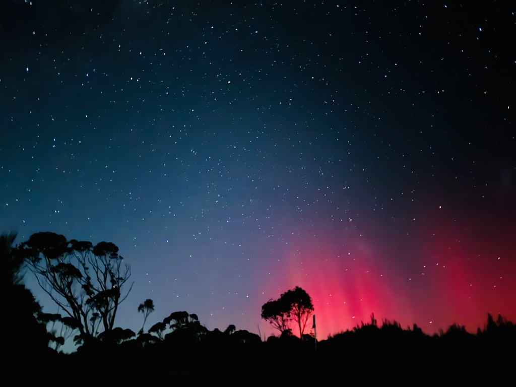 시드니 데이투어 
