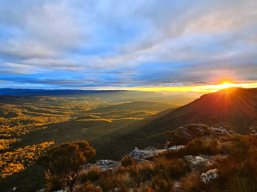시드니 데이투어 