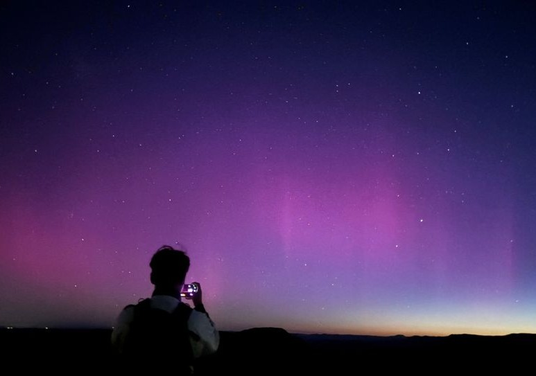 시드니 데이투어 