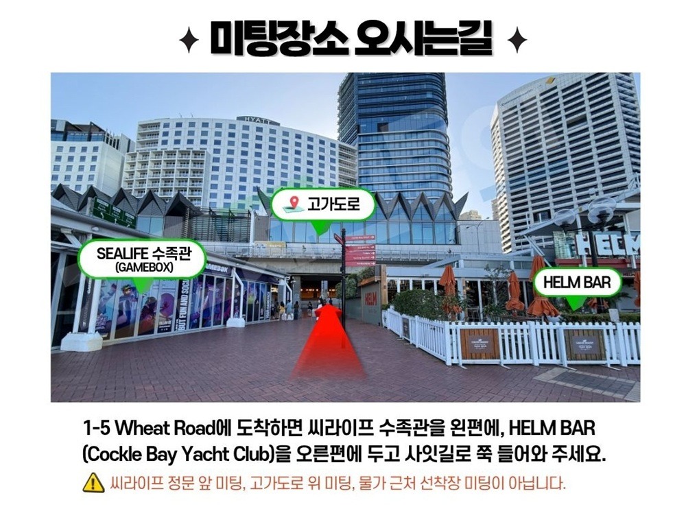 시드니 데이투어 