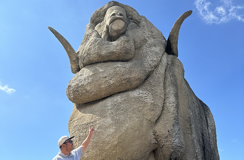 시드니 데이투어