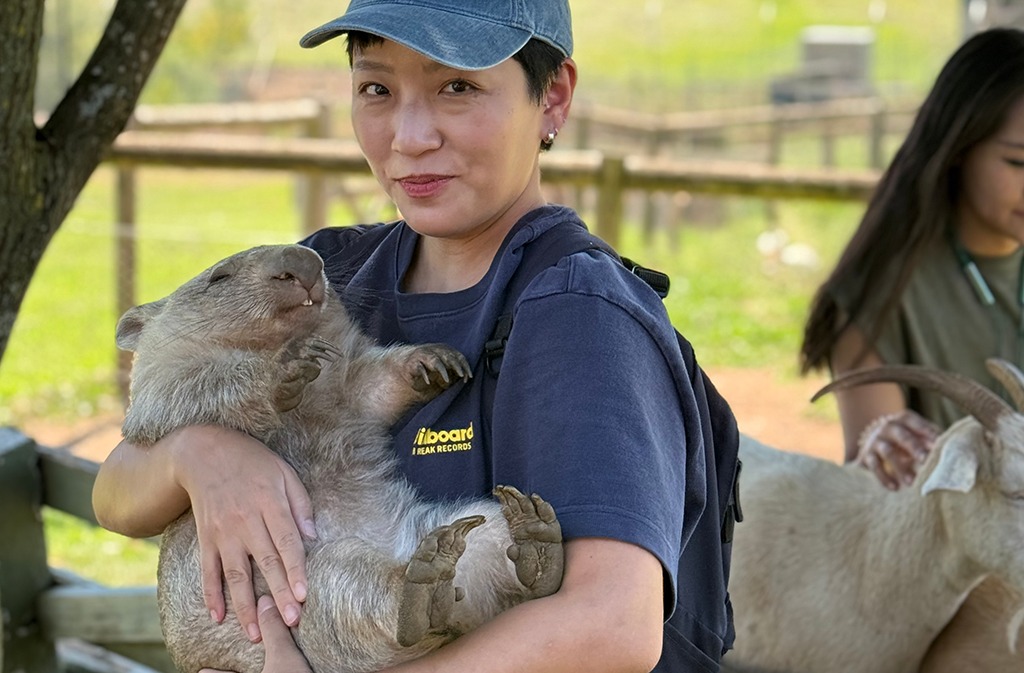 시드니 데이투어