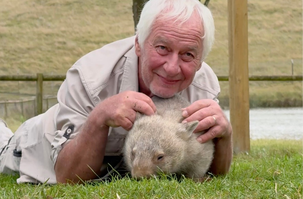 시드니 데이투어